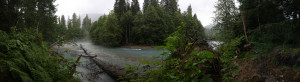 Nooksack River Pano 6